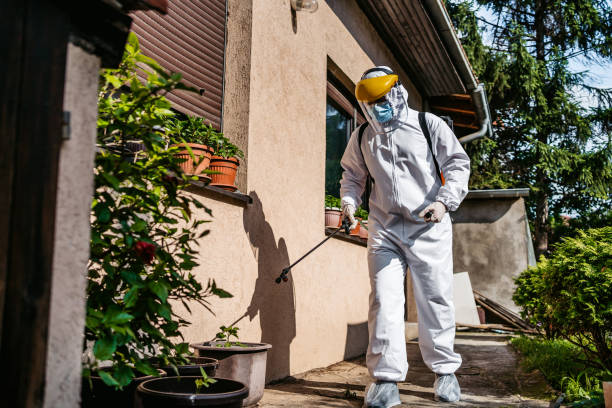 Best Commercial Pest Control Services  in Waggaman, LA