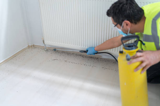 Trusted Waggaman, LA Pest Control Experts
